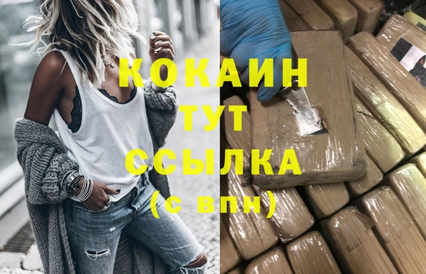 дмт Магас