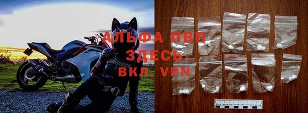 дмт Магас
