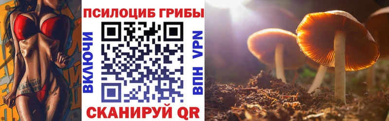Псилоцибиновые грибы ЛСД  продажа наркотиков  Михайловка 