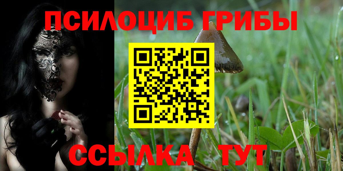 Псилоцибиновые грибы Cubensis  Вход с VPN  Михайловка 